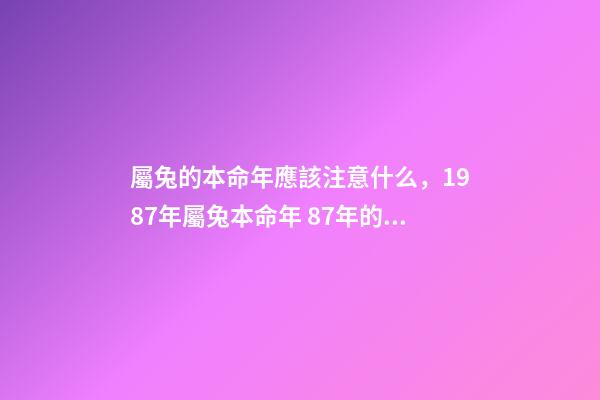 屬兔的本命年應該注意什么，1987年屬兔本命年 87年的兔子應該注意的什么-第1張-觀點-玄機派